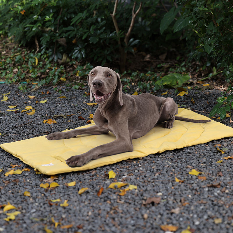 Переносной Коврик для домашних – обзор и цена Outdoor Camping Rug